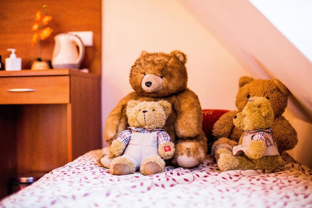 Hotel Concordia Podgorzyn Bilik gambar